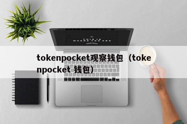 tokenpocket观察钱包（tokenpocket 钱包）