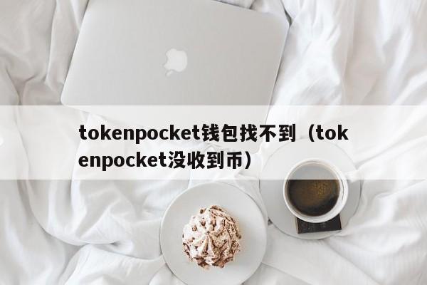 tokenpocket钱包找不到（tokenpocket没收到币）