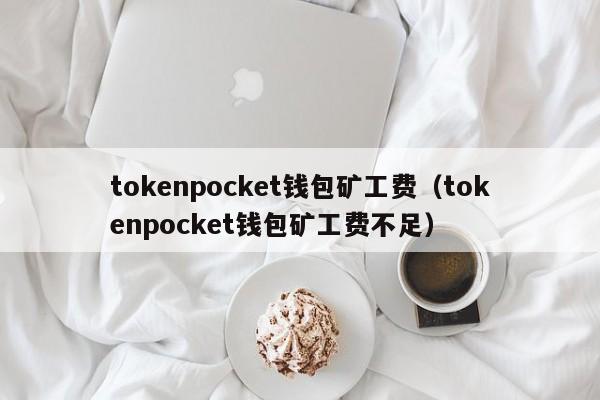 tokenpocket钱包矿工费（tokenpocket钱包矿工费不足）